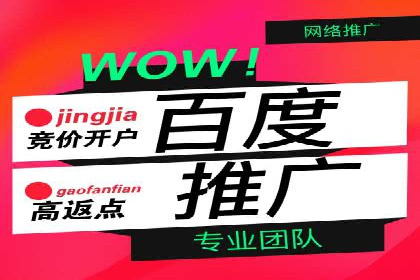 百度竞价推广公司成功经验分享：广告投放的技巧与策略